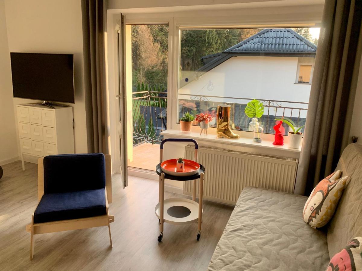 Apartament Lesny - Lesna 30 Кудова-Здруй Экстерьер фото