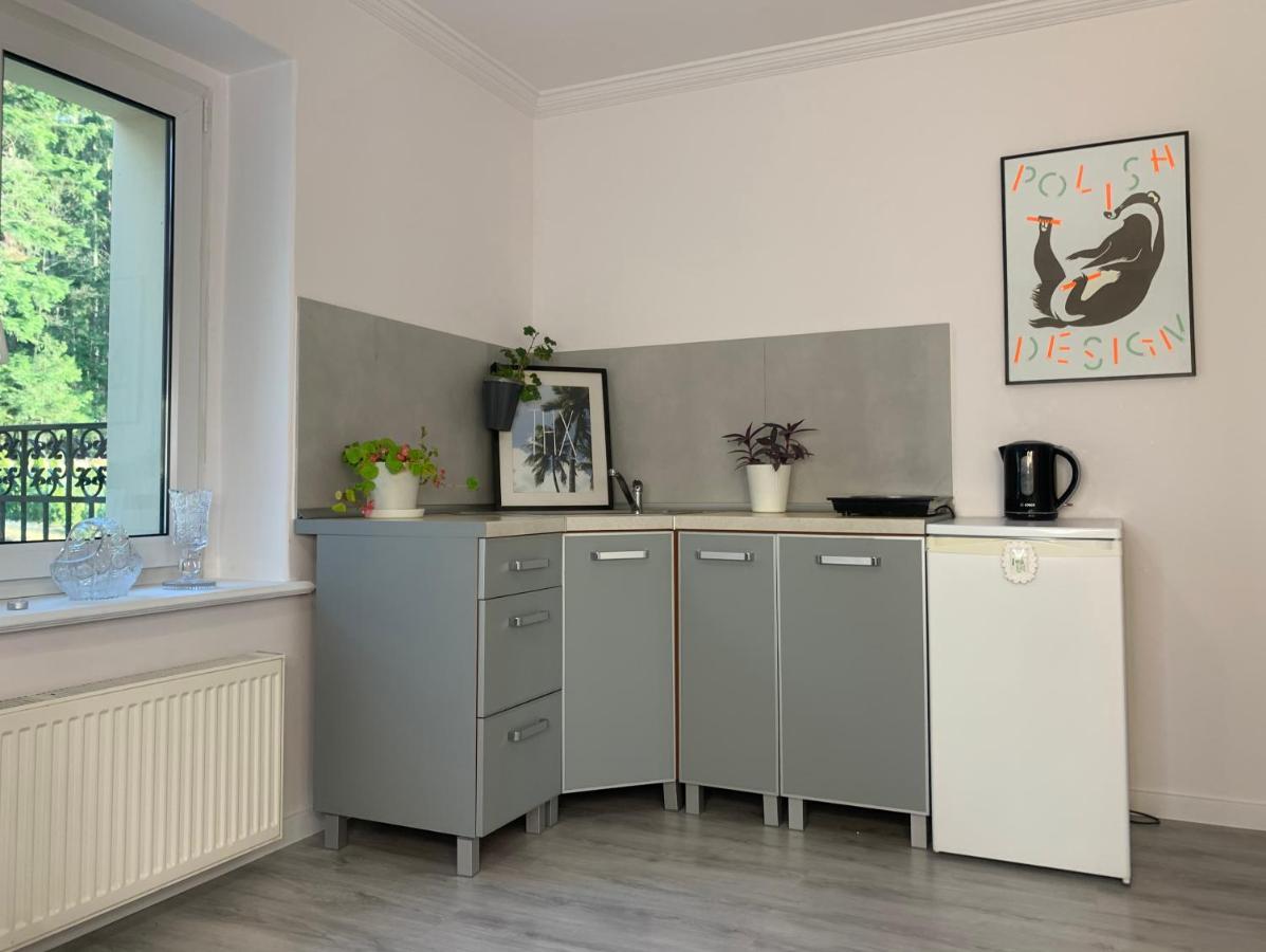 Apartament Lesny - Lesna 30 Кудова-Здруй Экстерьер фото